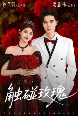 触碰玫瑰（凌晨四点半，玫瑰花未眠）海报