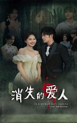 消失的爱人海报