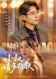 小叔请多指教海报