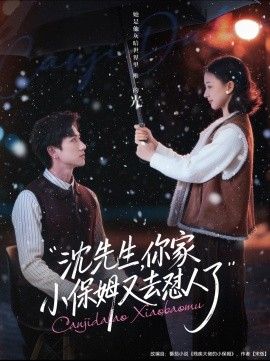 沈先生，你家小保姆又去怼人了海报