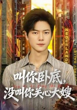 叫你卧底，没叫你关心大嫂海报