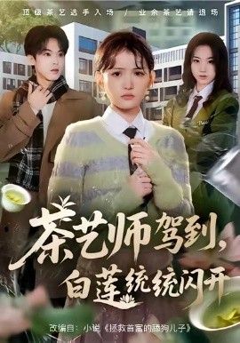 茶艺师驾到白莲统统闪开海报