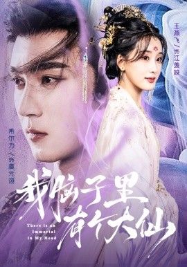 我脑子里有个大仙海报