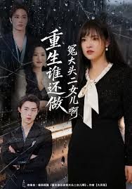 重生谁还做冤大头二女儿啊海报