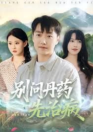 别问丹药先治病海报