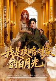 我是攻略对象的白月光海报