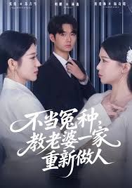 不当冤种，教老婆一家重新做人海报