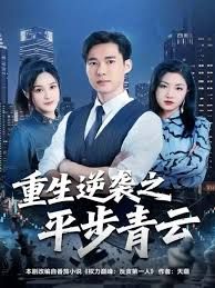 重生逆袭之平步青云海报