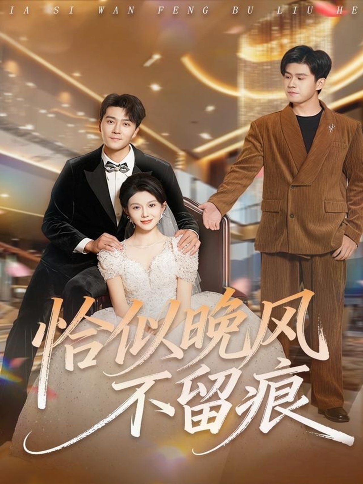 恰似晚风不留痕海报