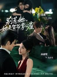 别惹她，她是贺爷掌心雀海报