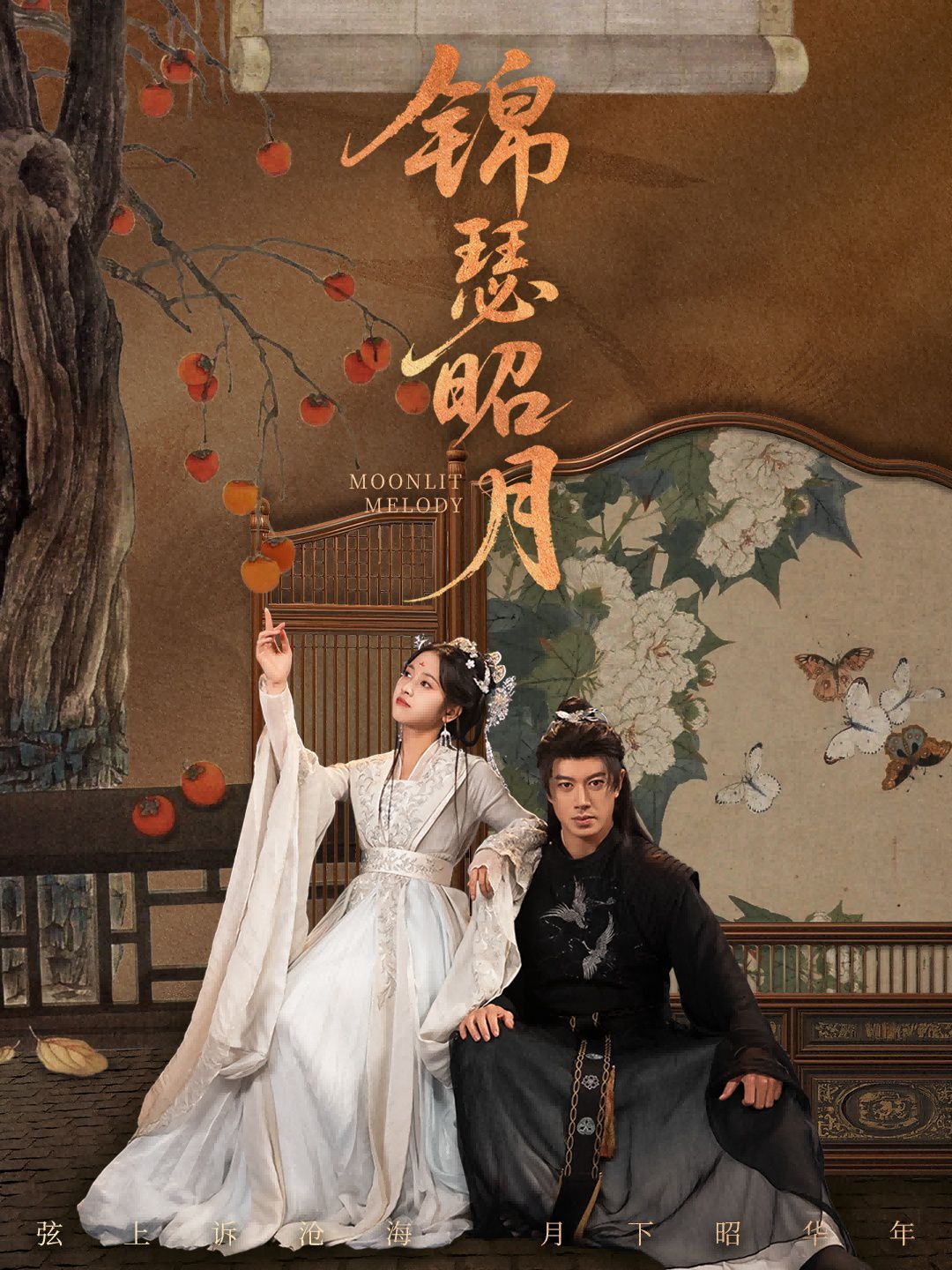 锦瑟昭月海报