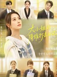 大小姐的降维打击日记海报