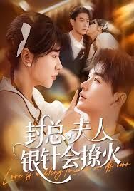 封总，夫人银针会撩火海报