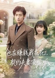 他在赚钱我在花，契约夫妻顶呱呱海报