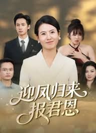 迎凤归来报君恩海报