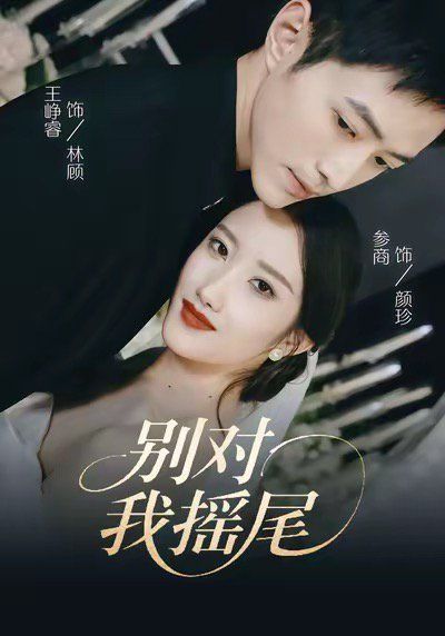 别对我摇尾海报