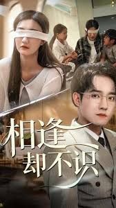 相逢却不识海报