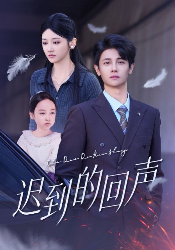 迟到的回声海报