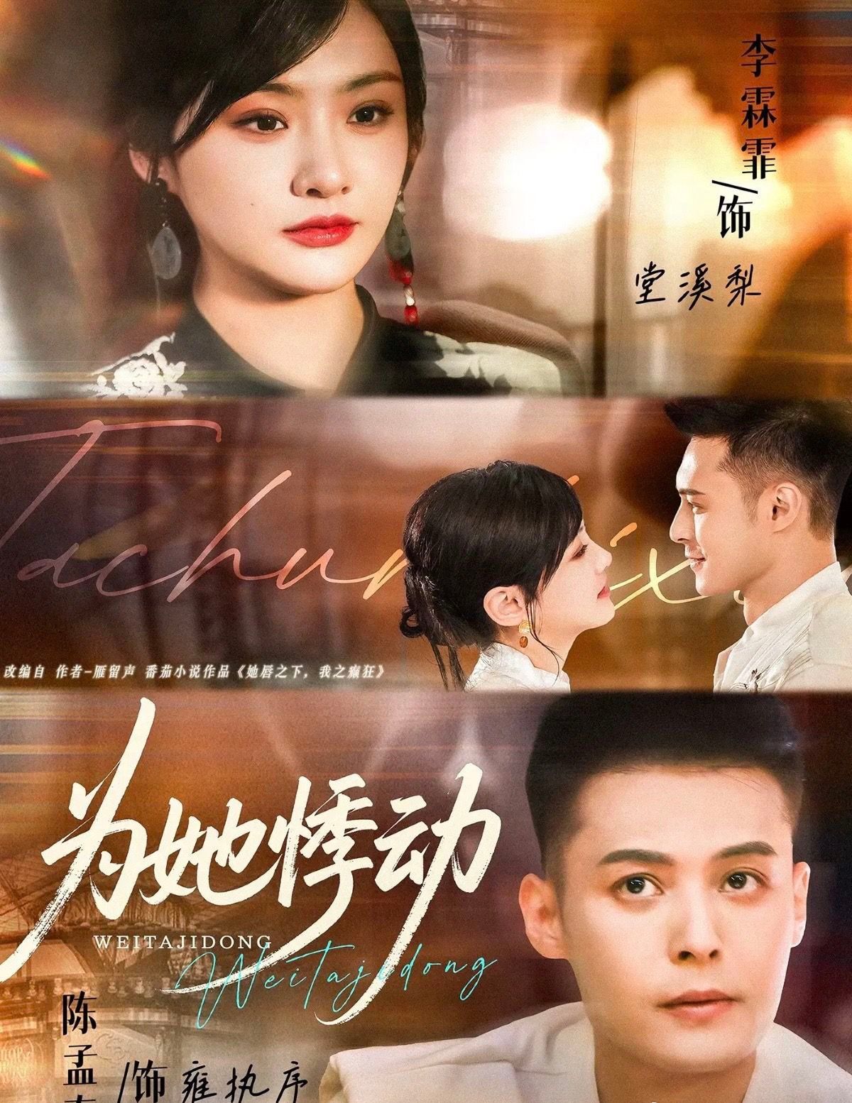 为她悸动海报