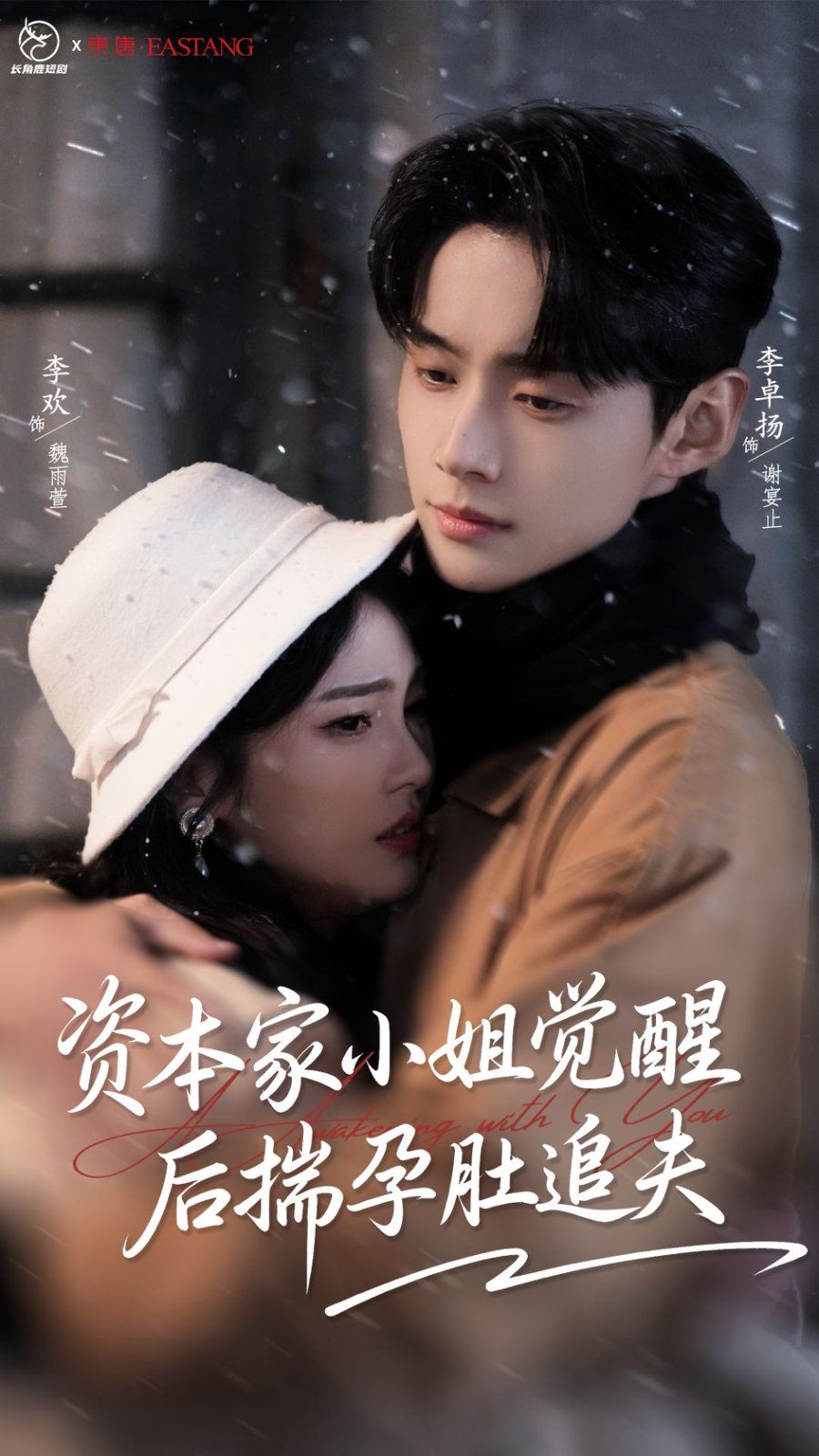 资本家小姐觉醒后揣孕肚追夫海报