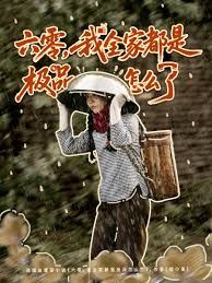 六零，我全家都是极品怎么了海报