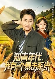 知青年代，我有一个暴击系统海报