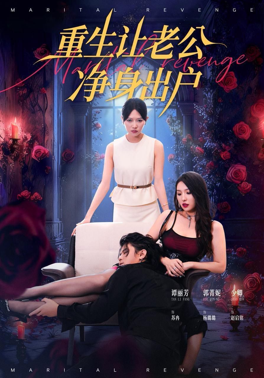 重生让老公净身出户海报