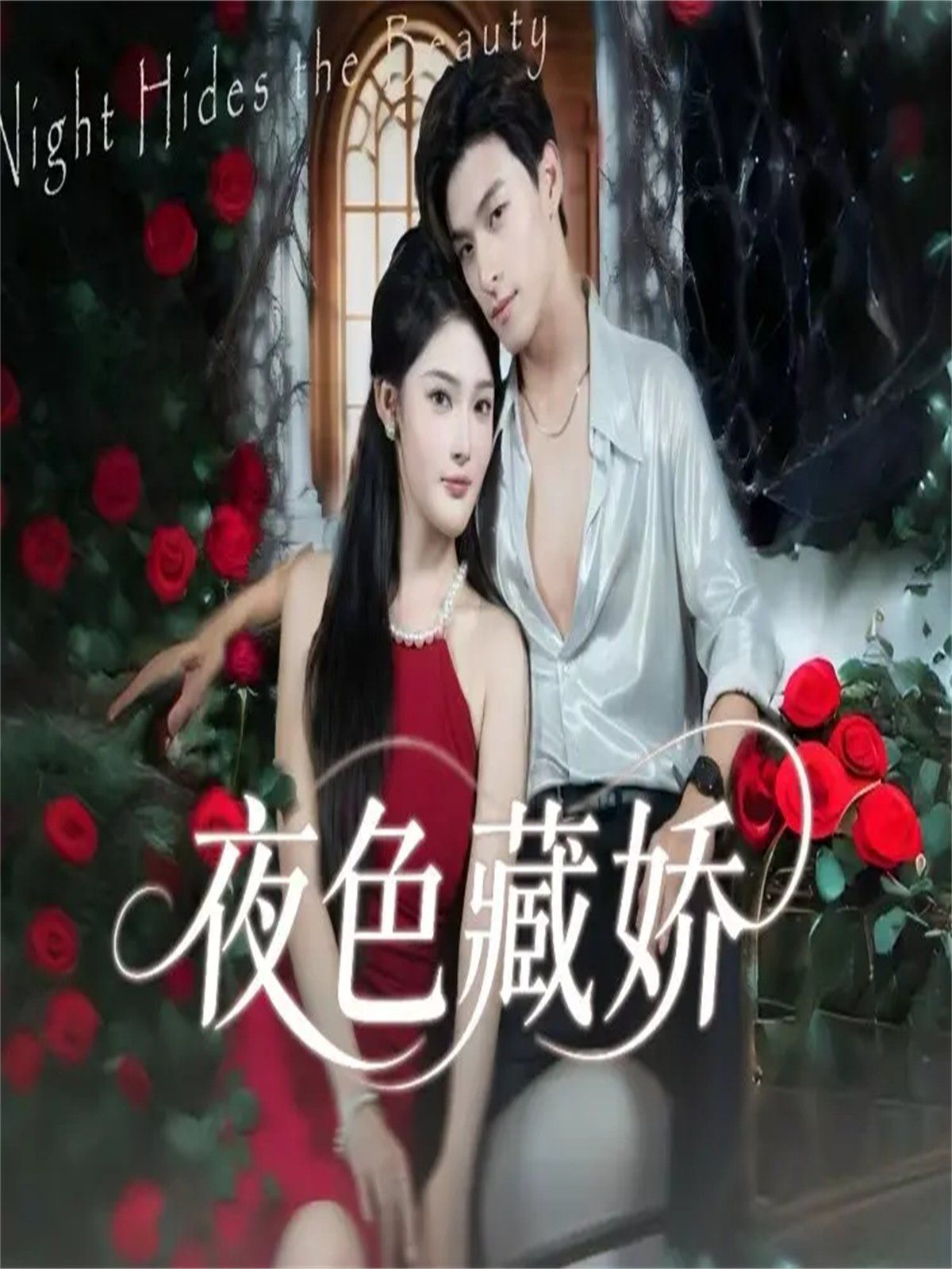 夜色藏娇海报