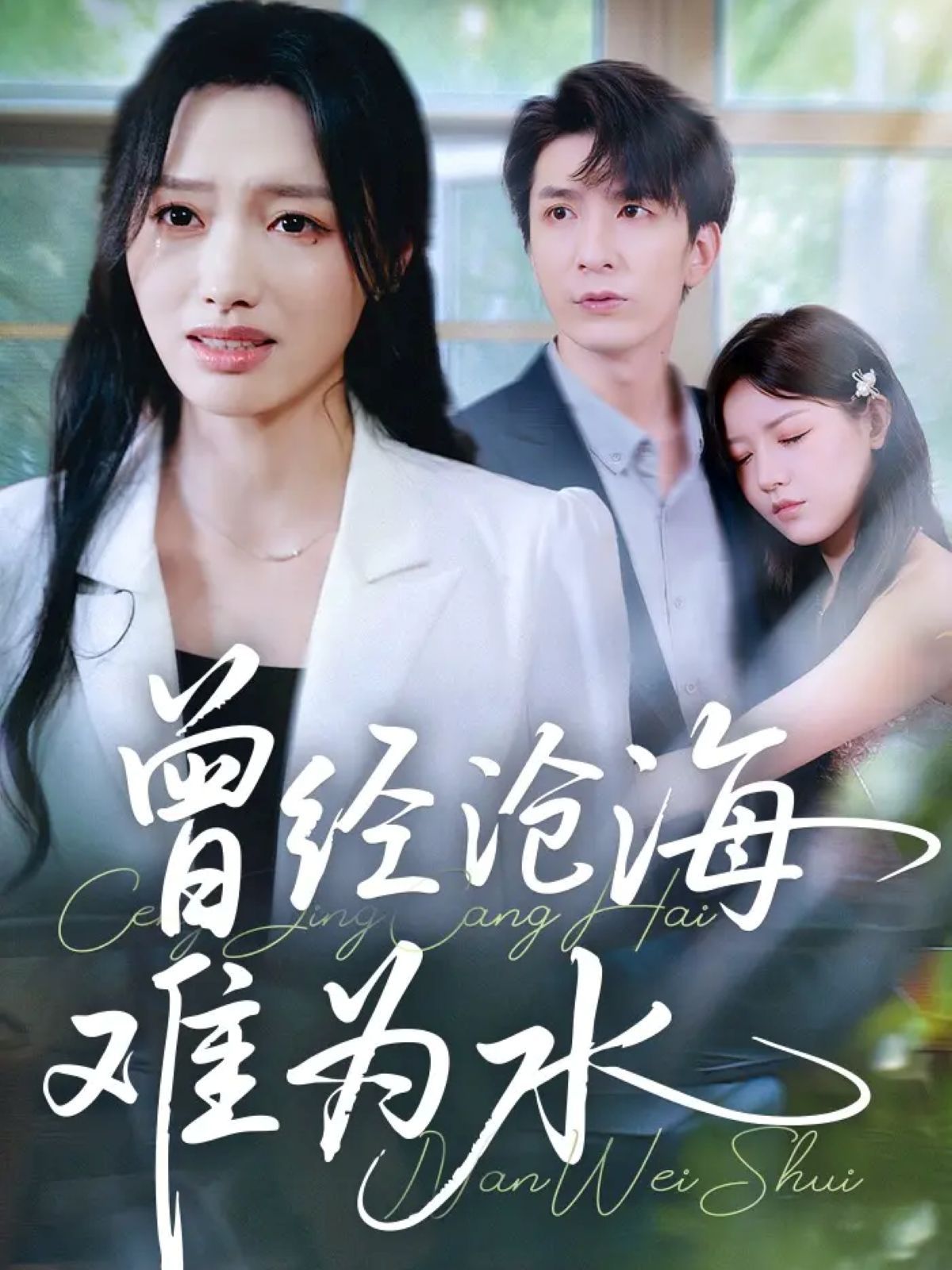 新曾经沧海难为水海报