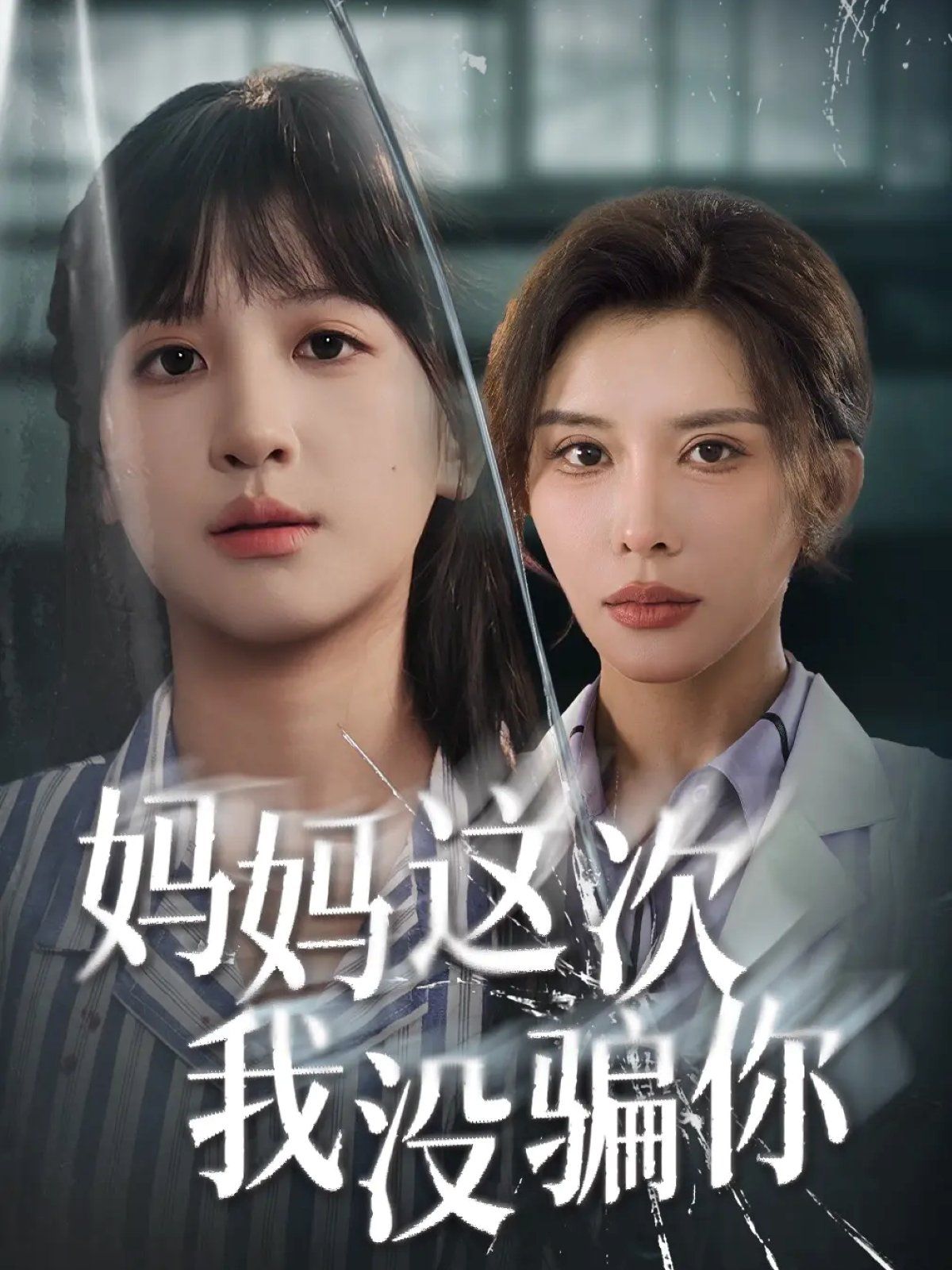 妈妈这次我没骗你海报