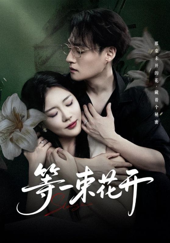 等一束花开海报