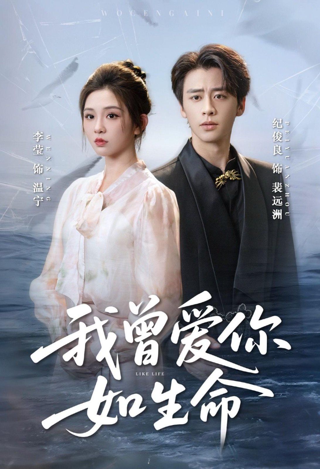 我曾爱你如生命（宁夜向远）海报