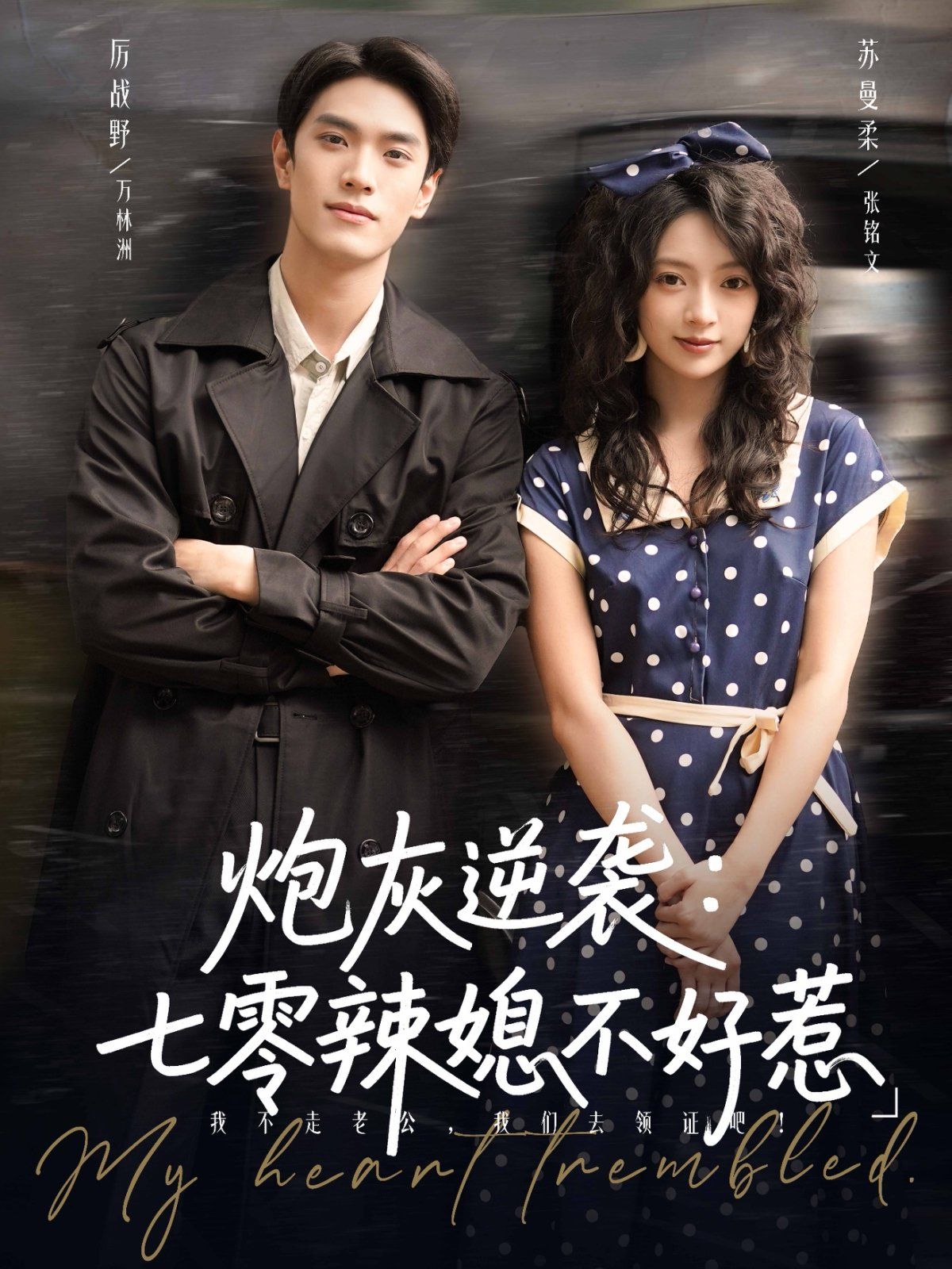 炮灰逆袭七零辣媳不好惹海报