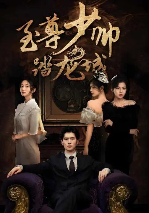 至尊少帅踏龙城海报
