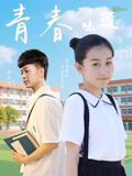 青春的味道海报