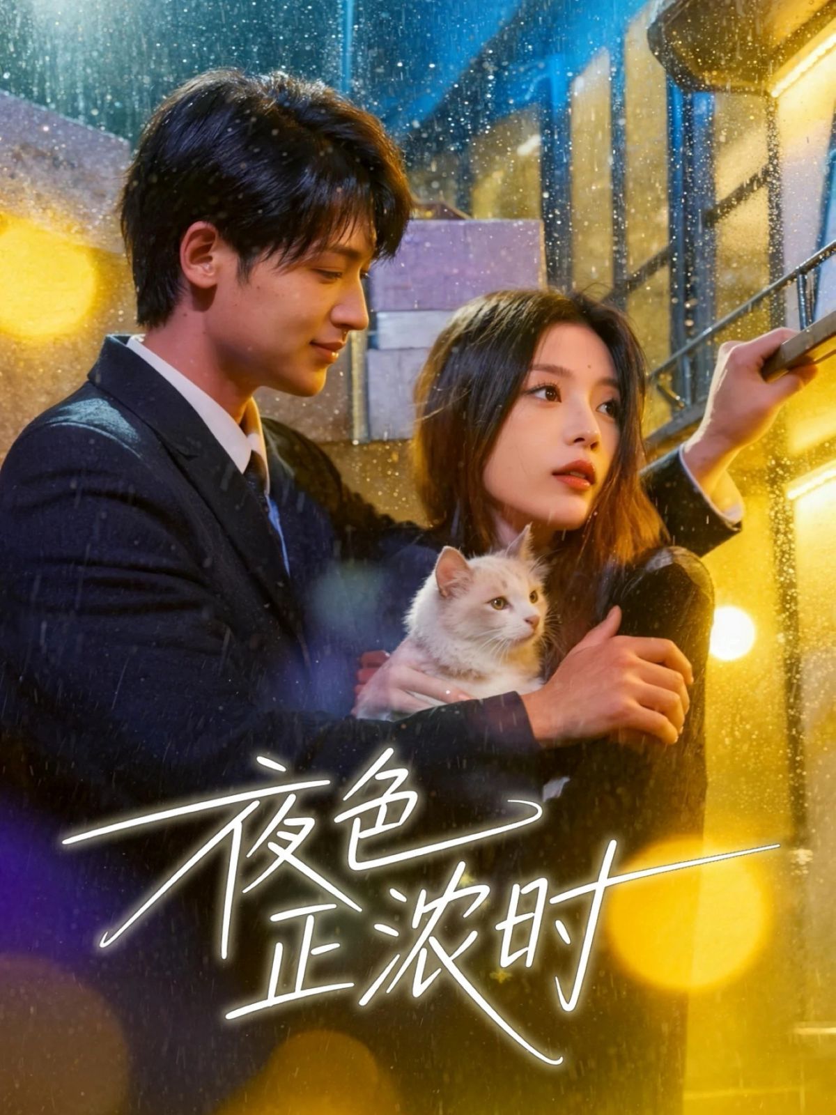 夜色正浓时海报