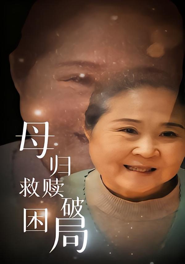 母归救赎破困局海报