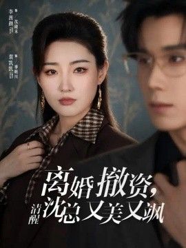 离婚撤资，清醒沈总又美又飒海报
