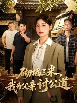 砌墙三米，我为父亲讨公道海报