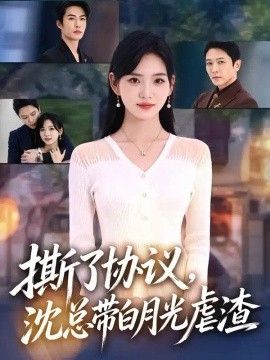 撕了协议，沈总带白月光虐渣海报