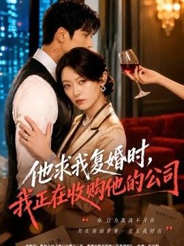 他求我复婚时，我正在收购他的公司海报