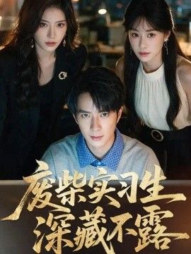 废柴实习生深藏不露海报