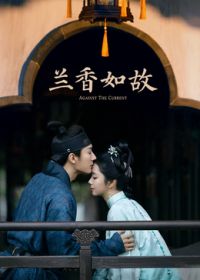 兰香如故海报
