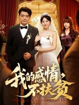 我的感情，不扶贫海报