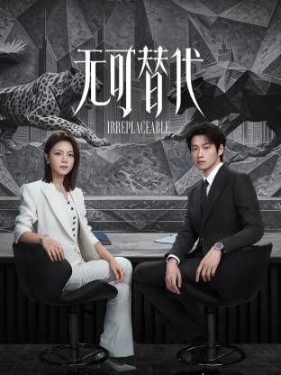 无可替代海报