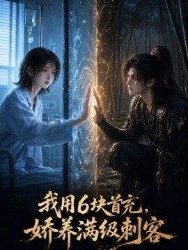我用6块首充，娇养满级刺客海报
