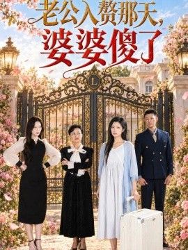 老公入赘那天，婆婆傻了海报