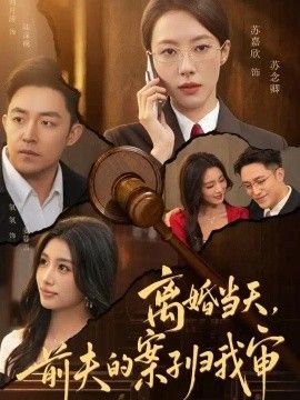 离婚当天，前夫的案子归我审海报