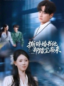 撕碎婚书他却踏尘而来海报
