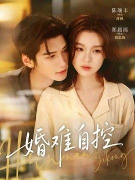 婚难自控海报